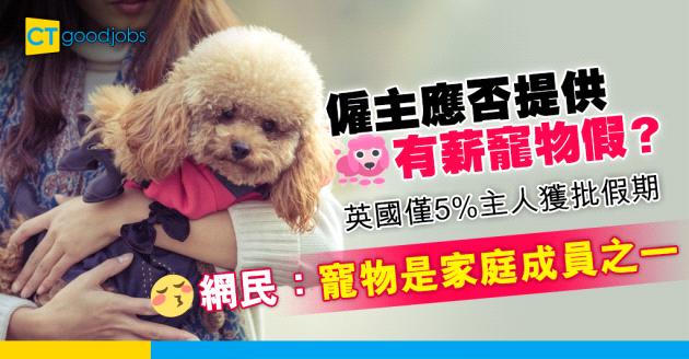 【員工福利】僱主應否提供有薪寵物假？英國調查：每20個主人有1個獲批