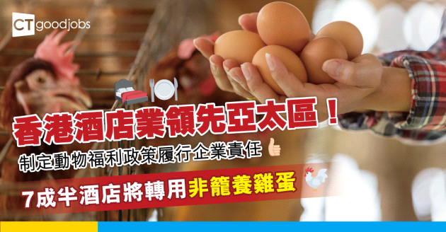 【企業責任】業界制定動物福利政策 7成半酒店承諾轉用非籠養雞蛋