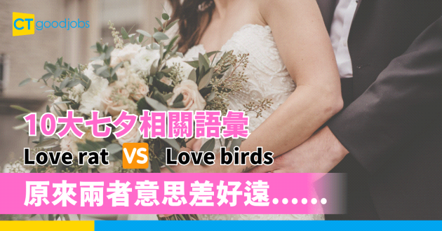 【職場英語】10大七夕相關語彙 love rat同lovebirds原來係咁解⋯⋯