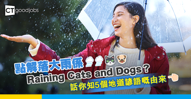 【英語冷知識】點解落大雨係Raining Cats and Dogs？話你知5個地道諺語嘅由來