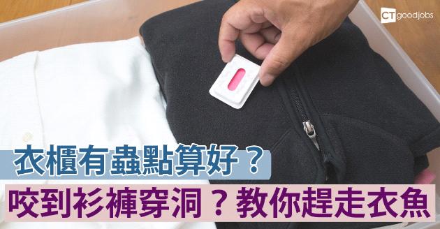 衣櫃內蟲出沒致衫褲穿窿  趕走衣魚有辦法 