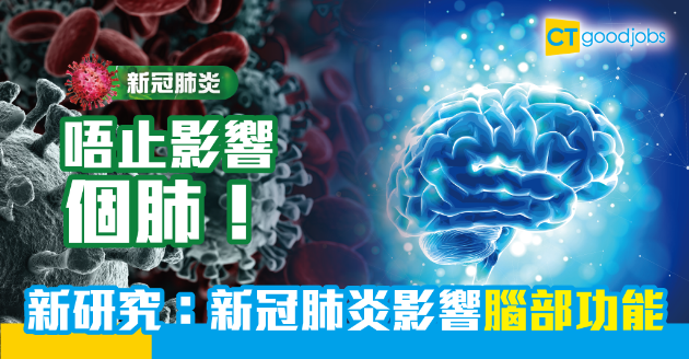 【新冠肺炎】研究：新型冠狀病毒或損害患者的腦部功能 