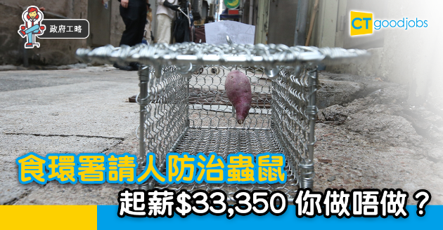 【政府工略】食環署請人  專責防治蟲鼠  起薪$33,350 