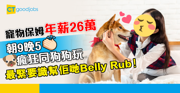 【絕世筍工】年薪26萬做寵物保姆 朝9晚5同狗狗擁抱、玩耍、影靚相 