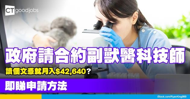 【政府工職位空缺2025】合約副獸醫科技師月薪達$42,640！讀文憑就請？(內附入職條件、職責及申請方法)