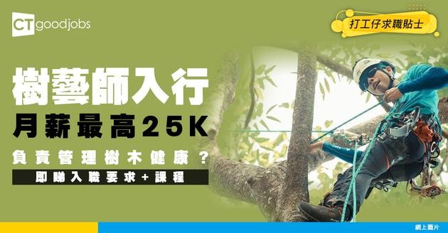 【樹藝師入行2025】人工高達$25k！負責樹木健康管理？即睇入職要求/課程/晉升階級