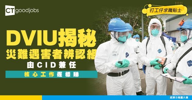 【DVIU工作懶人包】出動就代表大災難！「災難遇害者辨認組」由CID兼任！主要核心工作揭秘
