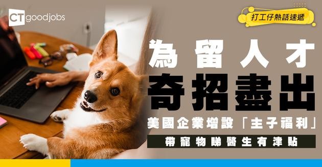 【職場熱話】為留人才奇招盡出！美國企業增設「主子福利」贏盡員工歡心！帶寵物睇醫生竟有津貼