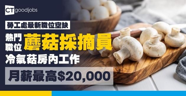【勞工處招聘會2026(七月更新)】飲食、零售、建造、保安等最新職位空缺一覽表(內附勞工處招聘會10大常見問題)