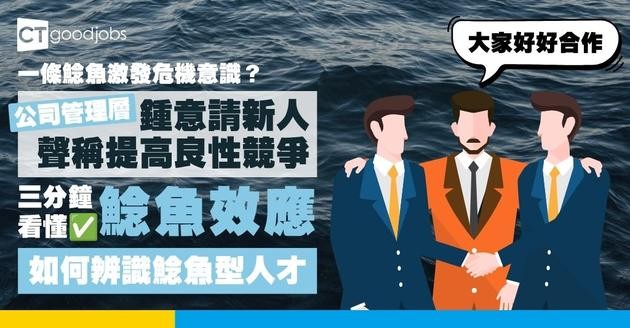 【一條鯰魚激發危機意識？】什麼是「鯰魚效應Catfish Effect」？3分鐘看懂管理心理學︰如何辨識鯰魚型人才？
