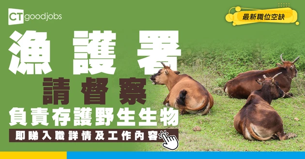 【政府工職位空缺2026】漁農自然護理署請督察！月薪最高$47,950 負責存護野生生物 即睇申請詳情！