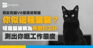 【你是哪種貓貓？】超準職場心理測驗！測試你是霸氣豹貓定慵懶波斯貓